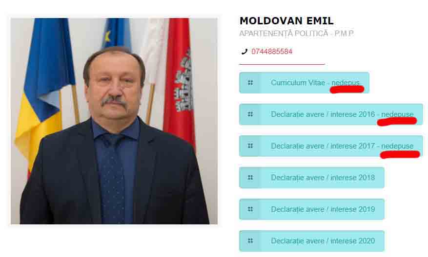 emil moldovan pmp