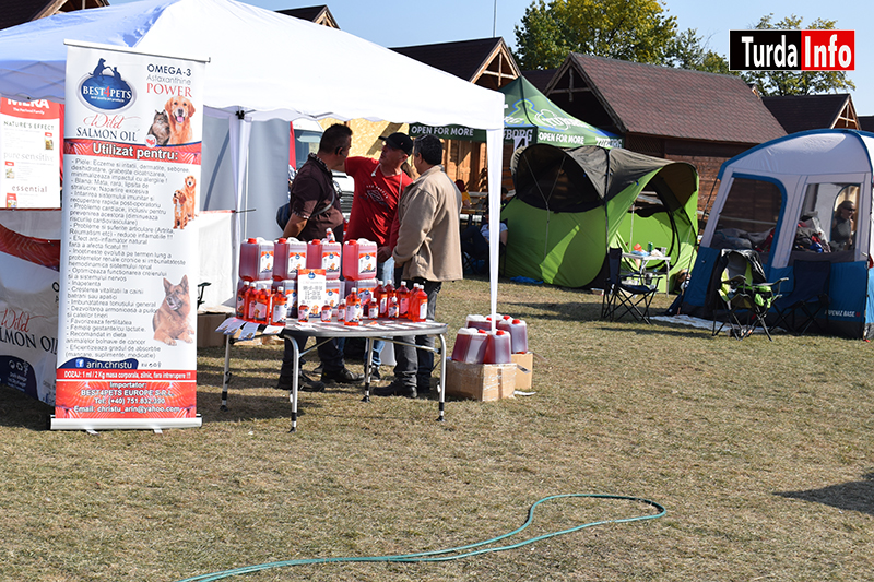 Turda Dog Show 2019 (foto)