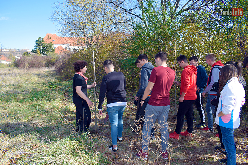 Plantare de arbori la CNMV Turda